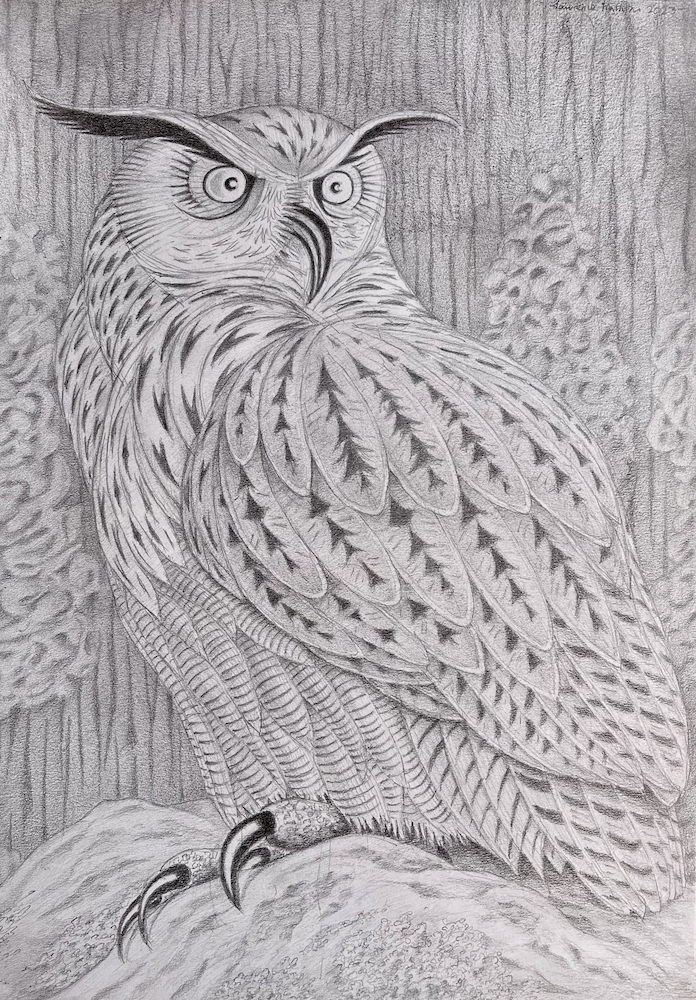 Owl in Pencil