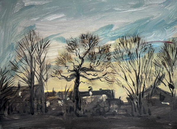 Trees in Evening